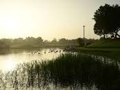Residential Plot 811 Sq.Yrd Plot Residential Plot for Sell in Agol Ahmedabad - Media 8